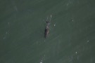 Missing Picture